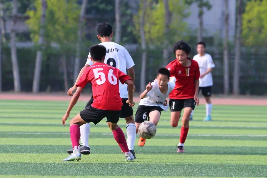 他们的